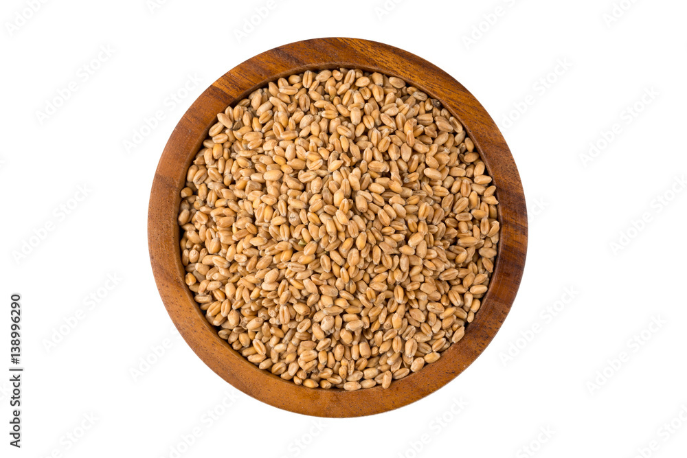 Wheat grain in bowl Wheat grain in bowl