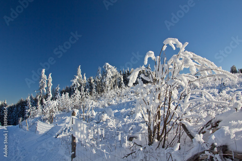 Winterlandschaft © swa182