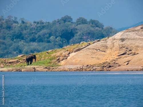 Fotografie Beautiful Island landscape with Isolated standing asian elephant near water in a