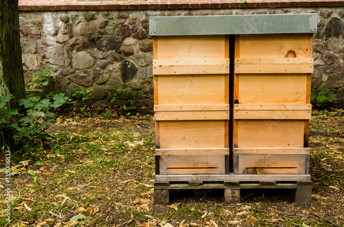 Bienen kästen stehen auf einer Wiese, im Hintergrund eine Mauer
