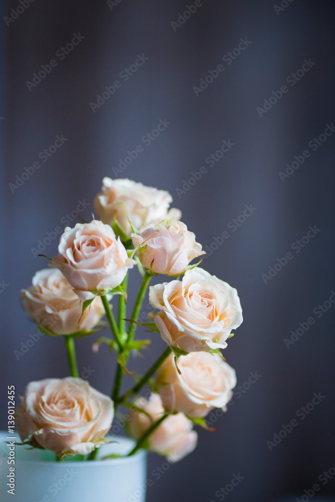 Bouquet of tender creamy roses in vase
