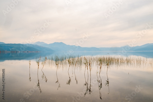Misty lake with reeds photo
