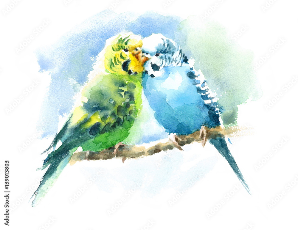 Fototapeta premium Watercolor Pet Birds Green and Blue Budgerigar Parakeets Hand Drawn Summer Tropical Illustration Budgies