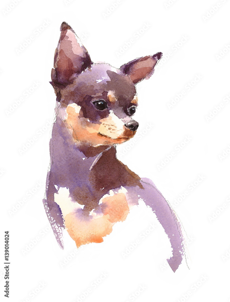 Φωτογραφία Watercolor Dog Chihuahua Portrait - Hand Painted Animals Pets Illustration isola