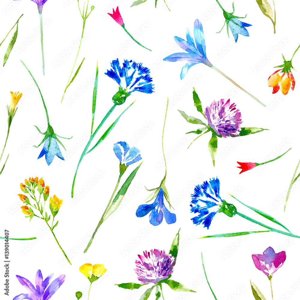 Floral seamless pattern of a wild flowers and herbs on a white background.Buttercup, cornflower, clover, bluebell, lobelia, snowdrop flowers. Watercolor hand drawn illustration.