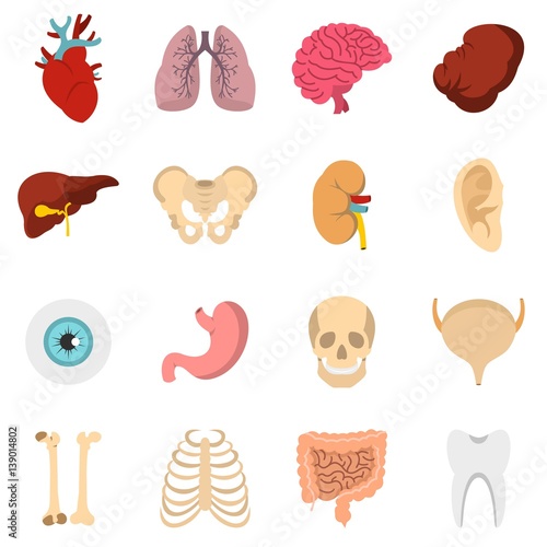 Human organs set flat icons