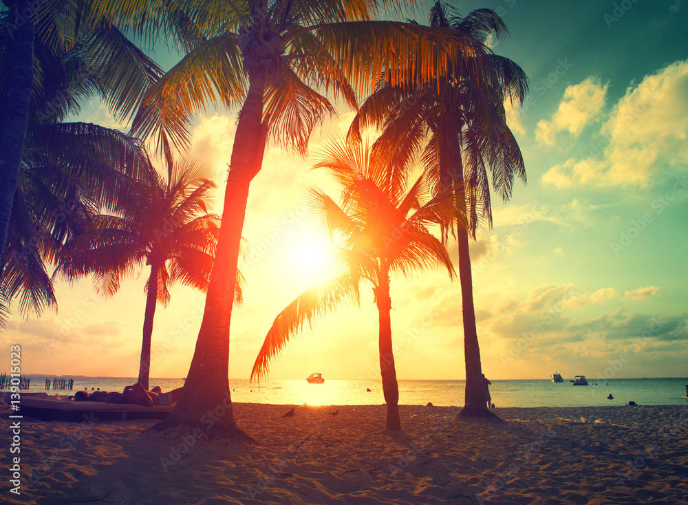 Fototapeta Zmierzch plaża z drzewkami palmowymi i pięknym niebem. Rajska scena z karaibskiej wyspy