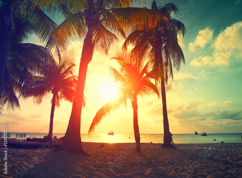 Fototapeta Zmierzch plaża z drzewkami palmowymi i pięknym niebem. Rajska scena z karaibskiej wyspy