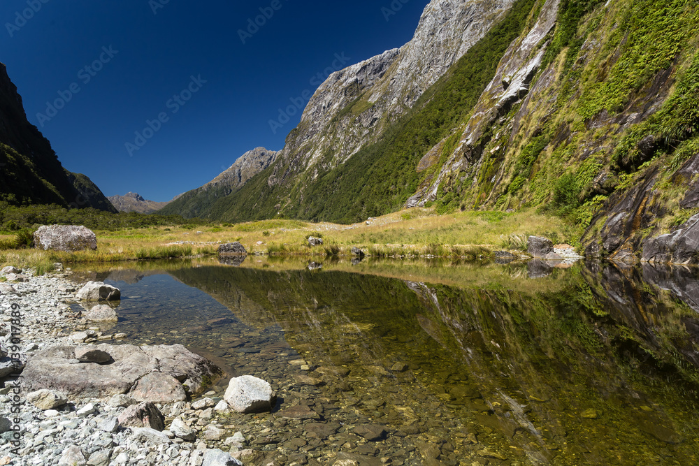 Lake Reflections