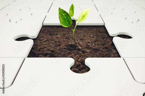 Foto Growth and development through teamwork