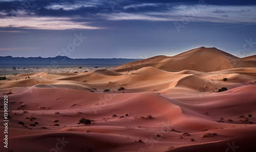 Sahara Desert © Vig