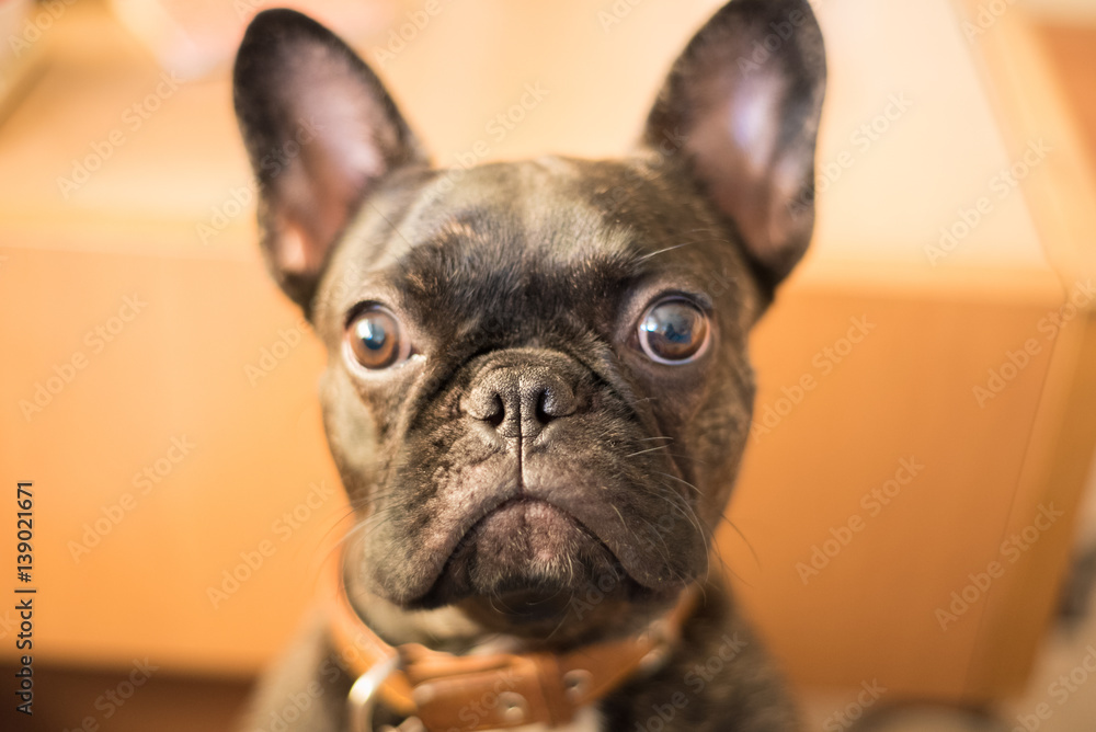 Mugshot Mugshot