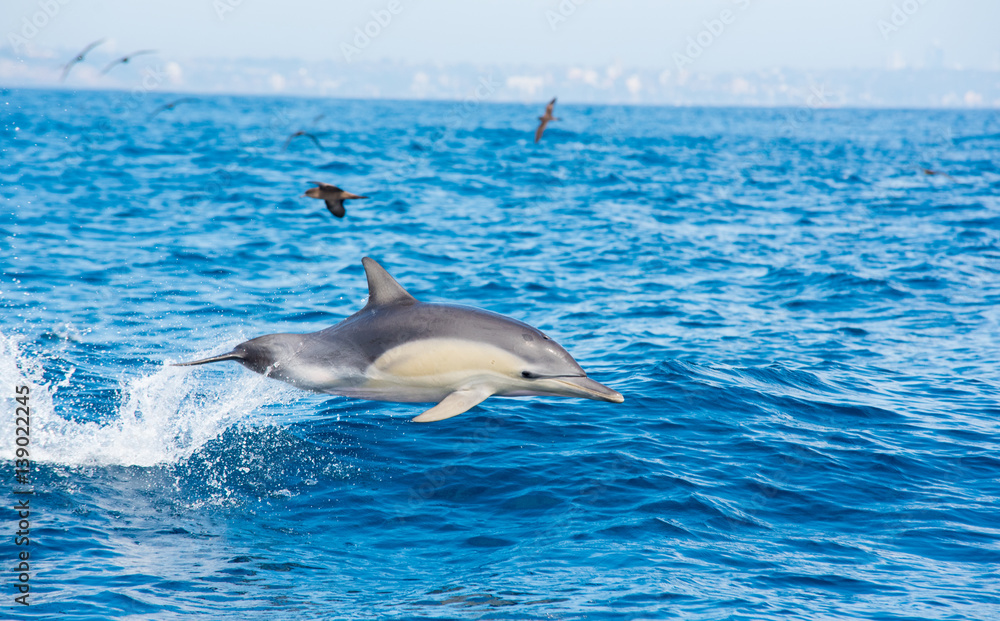 Fototapeta premium airtime! 