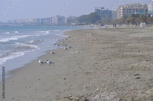 Limassol Beach © Maristos