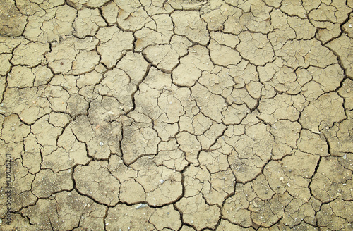 Background and texture with cracked earth