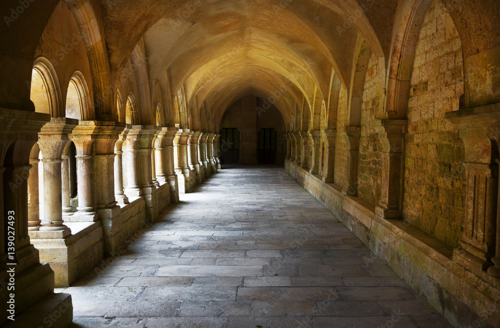 Archway, Fontenay Abbey, France