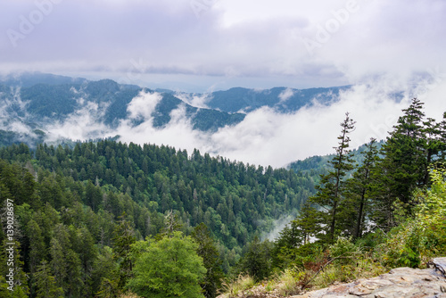 Great Smoky Mountains © Melinda Fawver
