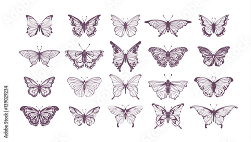 Set of butterflies, ink silhouettes. Glowworms, fireflies and butterflies icons isolated on white background. Hand drawn separated editable elements, Vector illustration.