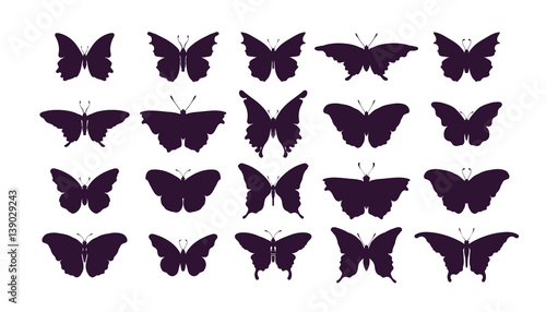 Set of butterflies, ink silhouettes. Glowworms, fireflies and butterflies icons isolated on white background. Hand drawn separated editable elements, Vector illustration.
