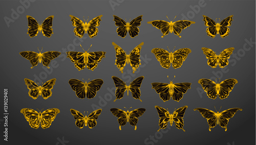 Set of gold butterflies, ink silhouettes. Glowworms, fireflies and butterflies icons isolated on black background. Hand drawn separated editable elements, Vector illustration.