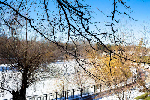 Wallpaper Mural tree branches against the blue sky -  tree branches against the backdrop of a frozen lake Torontodigital.ca