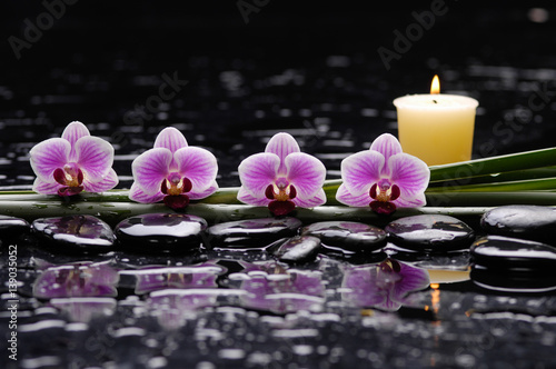 tranquil spa scene-pink orchid and candle with plant