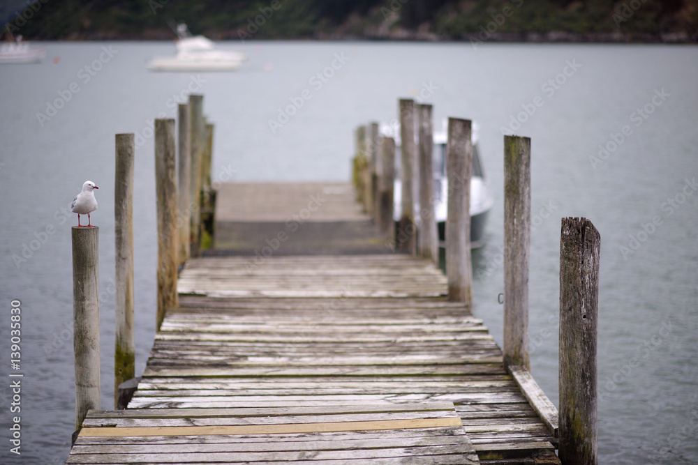 Fototapeta premium bird on the bridge with lake in background