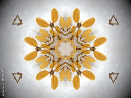 Yellow plant in snow Mandala