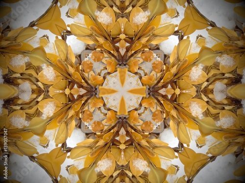 Yellow plant in snow Mandala