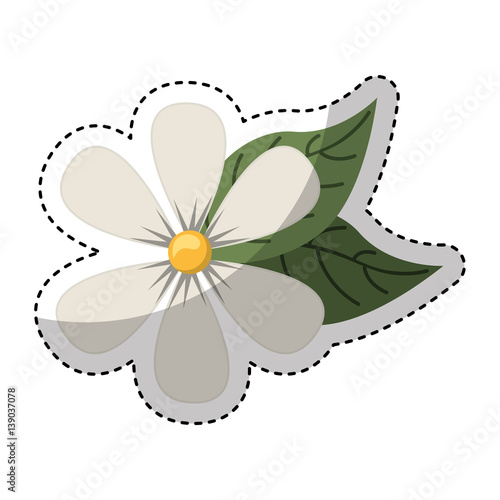 cute flower spa emblem vector illustration design