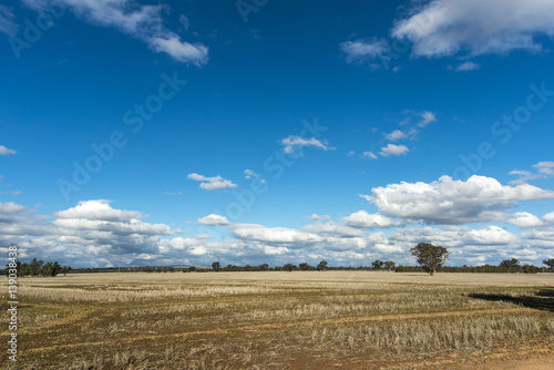 Rows Winter stubble blue dramatic sky clouds. Copyspace.