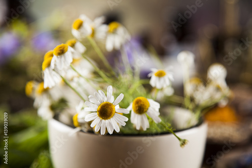 Healing herbs on wooden table  mortar and herbal medicine