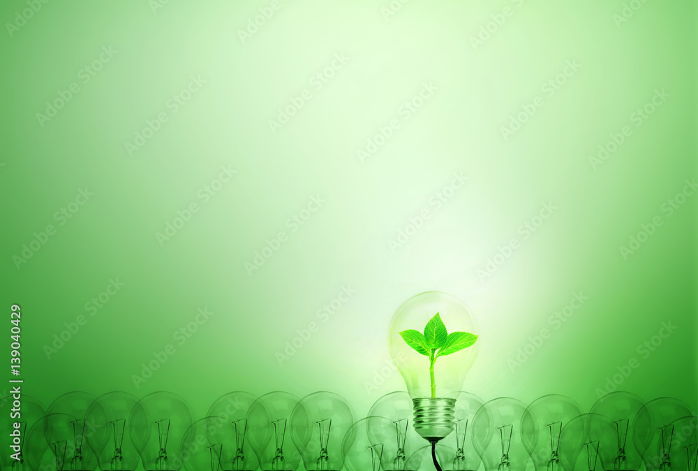 Outstanding creative idea for eco friendly background concept . Nature Tree  leaf inside one Light bulb glowing among a group light bulbs on green  background Stock Photo | Adobe Stock