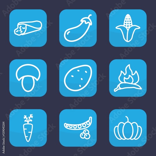 Set of 9 outline vegetable icons