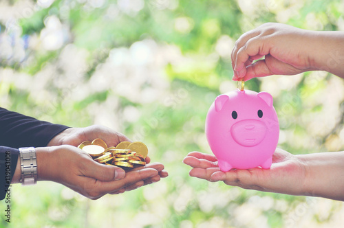 Wallpaper Mural beautiful business women  hold out  hand with golden coins  and Chubby women saving golden coins   in  piggy bank ,saving concept, saving money ,business concept Torontodigital.ca