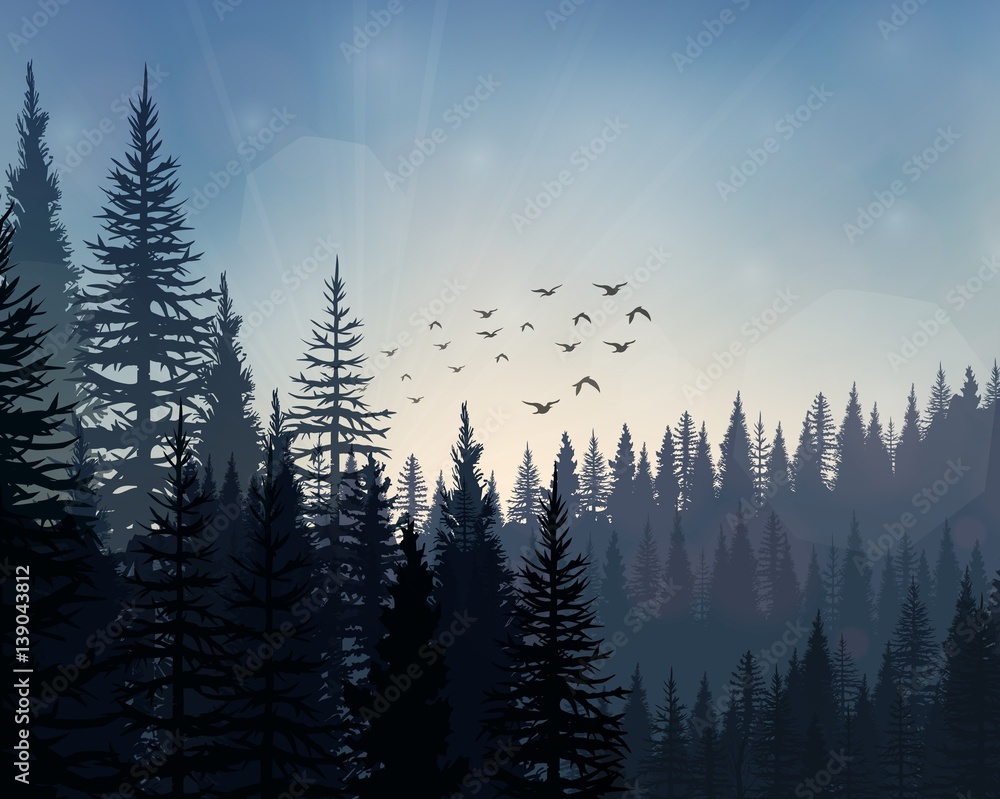 Naklejka premium Pine forest landscape background