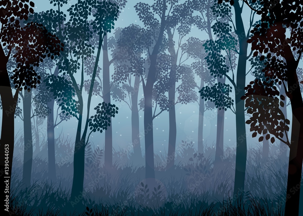 Fototapeta premium Forest at night background