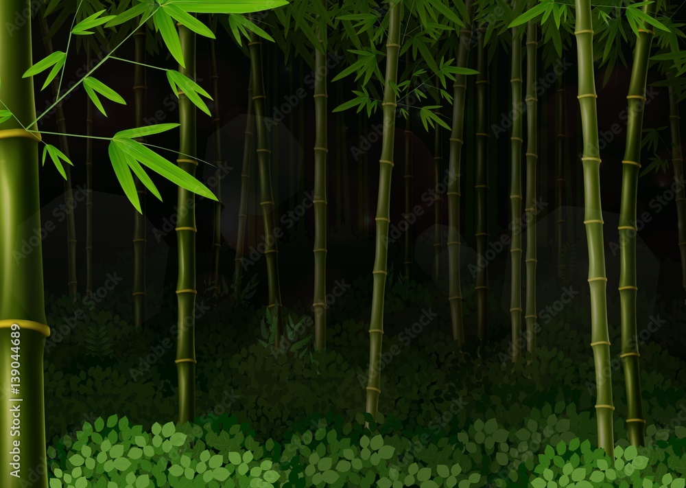 Fototapeta premium Background bamboo forest at night