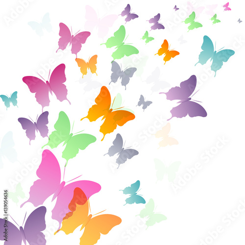 vector, beautiful background with butterflies, template
