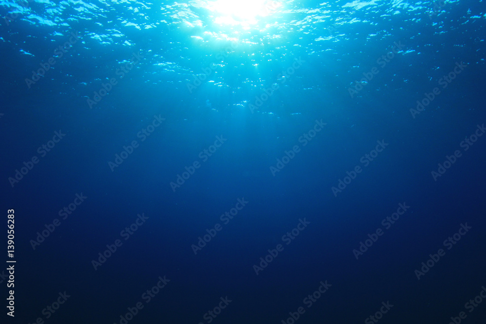 Fototapeta premium Tło podwodne oceanu