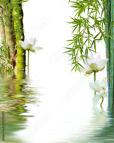 Fototapeta Naklejka Na Ścianę i Meble -  décor zen, Bouddha, bambou à noeud et lotus 