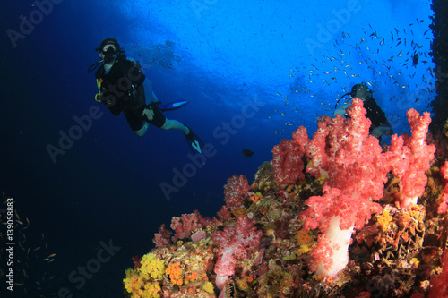 Scuba divers diving on coral reef © Richard Carey