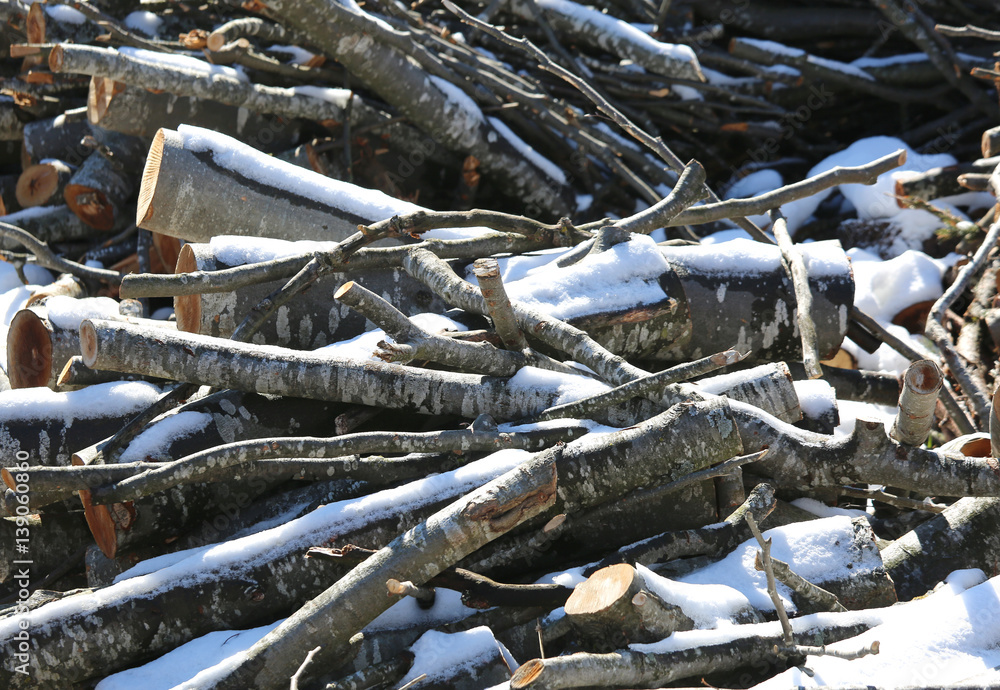 logs cut by lumberjack in the woodshed with white snow logs cut by lumberjack in the woodshed with white snow