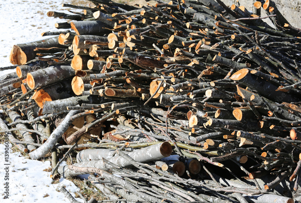 logs cut by lumberjack in the woodshed with snow logs cut by lumberjack in the woodshed with snow