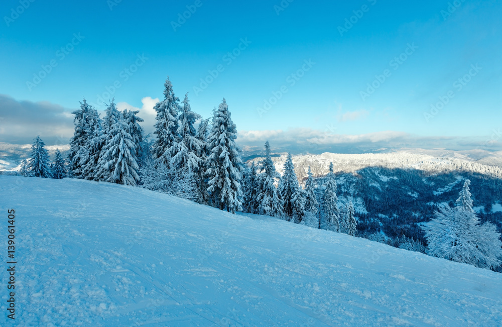 Winter Carpathian Mountains landscape, Ukraine.