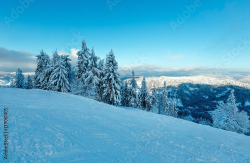 Winter Carpathian Mountains landscape, Ukraine. © wildman