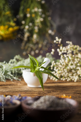 Fresh medicinal, healing herbs on wooden