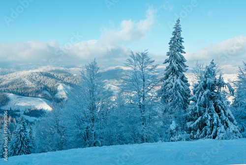 Winter Carpathian Mountains landscape, Ukraine.