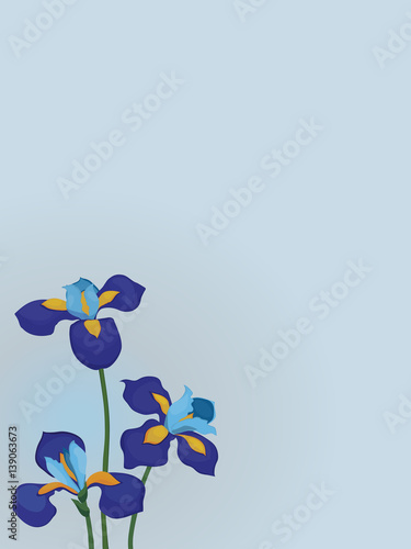 floral  with  irises