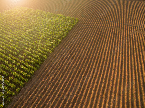 Фотография Aerial view ; Rows of soil before planting